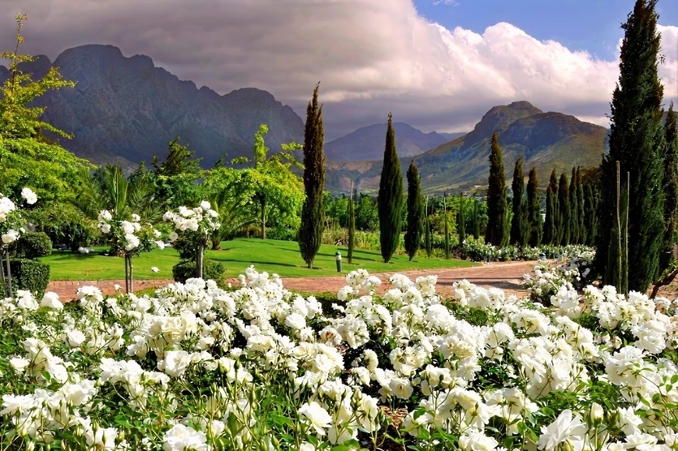 Franschhoek Open Gardens Festival